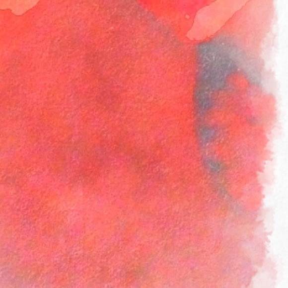 Meet your Posher, Amber - Picture 1 of 1